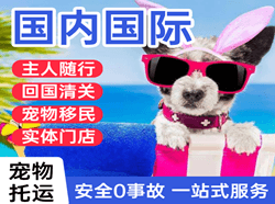 咸阳航空邮寄国际宠物托运 【国